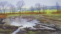 Landscapes at UIndy