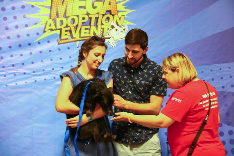 Slideshow: Mega Adoption Event | Multimedia | nuvo.net