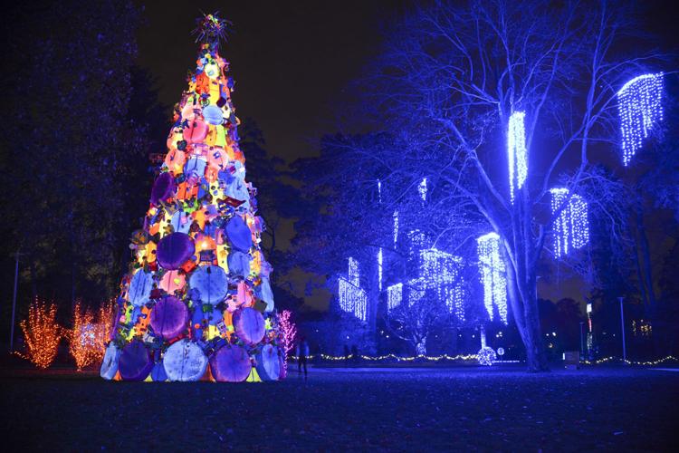 Winterlights at Newfields