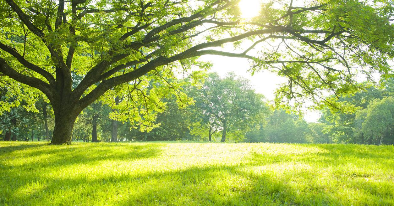 Who is responsible for the public interest? - Vimarsana News
