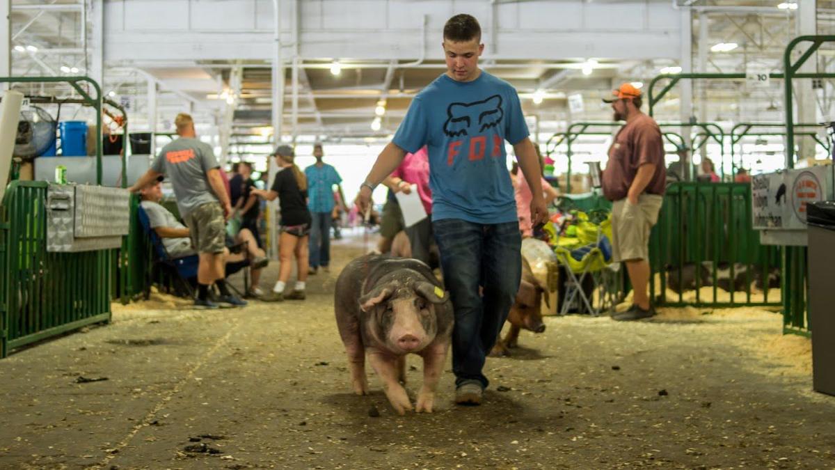 10 Reasons to Love the Indiana State Fair Slash