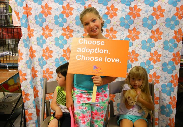 Slideshow Mega Adoption Event Multimedia