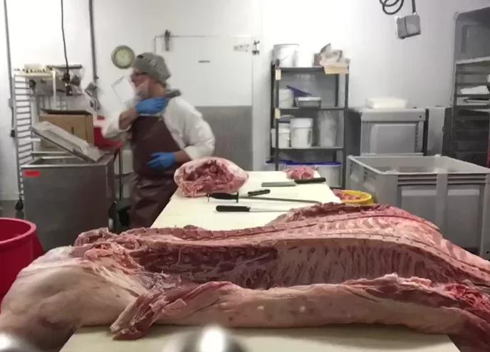 Whole hog breakdown time lapse video