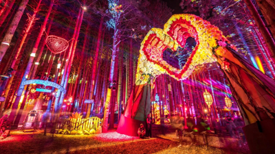 Get Ready for Electric Forest 2024: The Ultimate Festival Experience |  Music | nuvo.net