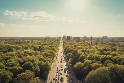 Urban trees, soil take in more CO2 than previously thought