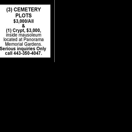 Cemetery Plot | Everything Else | nvdaily.com
