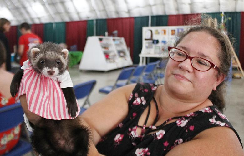 Warren County Fair Pet Show Nvdaily