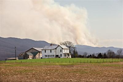 FOREST FIRE
