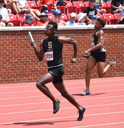 Sherando's Carlson finishes second in Class 4 state track meet ...