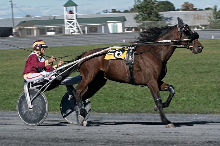 Harness racing offers old school experience for its fans | Nvdaily ...