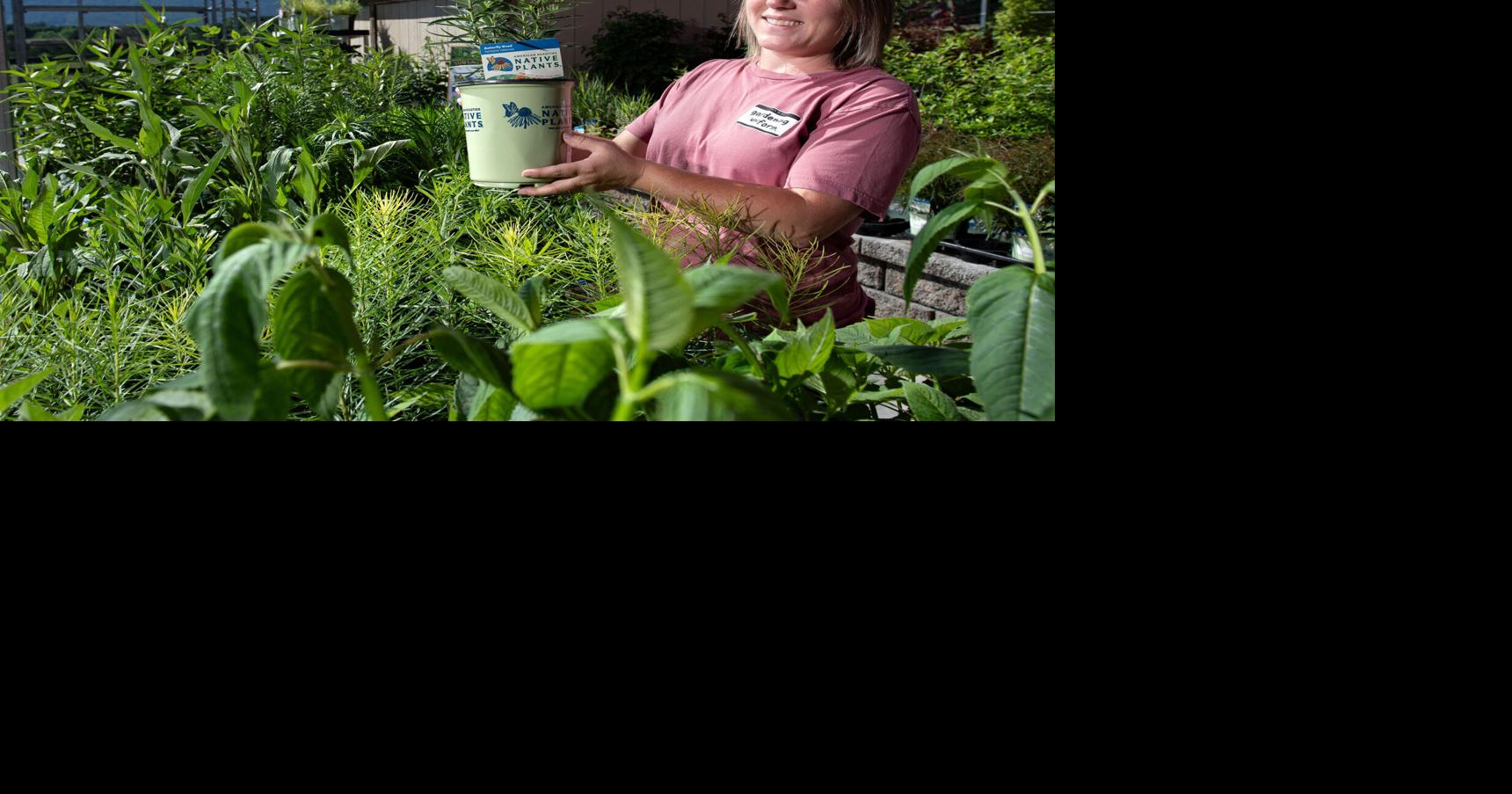 What's hot in gardening? Native plants, companion gardening lead this summer's trends