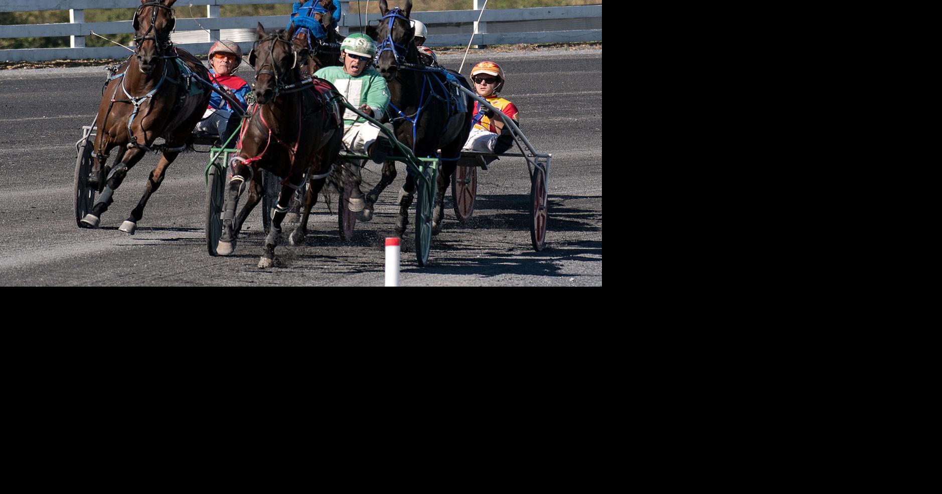 Harness racing offers old school experience for its fans | Nvdaily ...