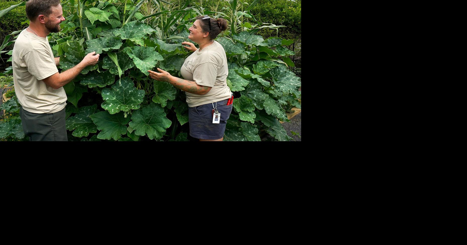 MSV, garden club 'Growing Together' to feed, educate the community
