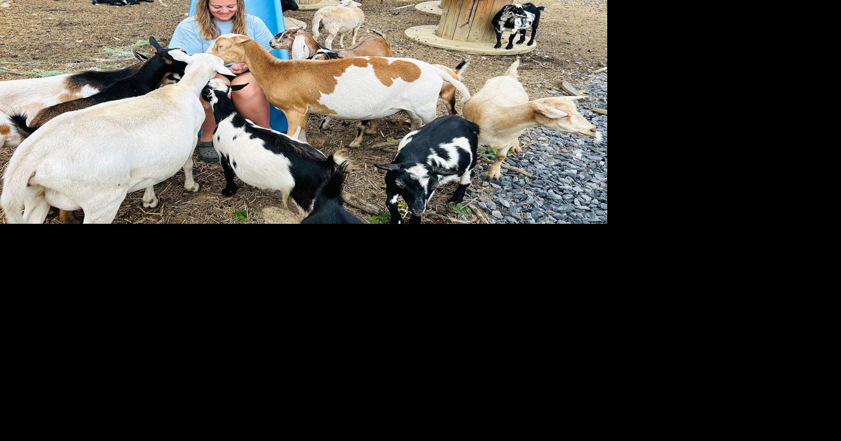 Crooked Creek Estate preserves homestead life, promotes agritourism