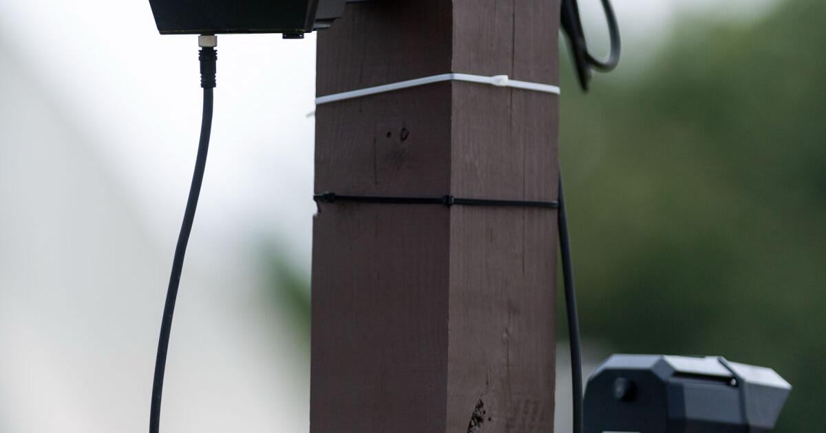 City Council pledges to remove Flock cameras