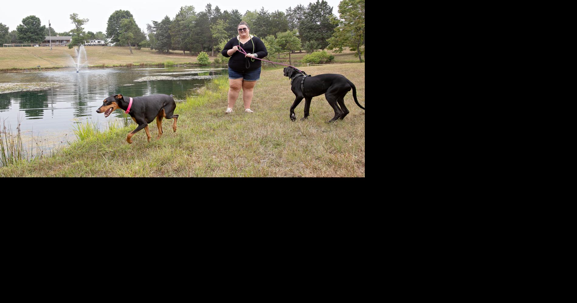 Backyards transform into private dog parks through Sniffspot app | Nvdaily