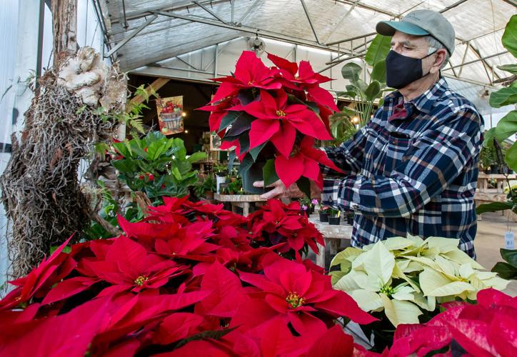 Fort Valley Nursery enters agreement to change ownership Nvdaily