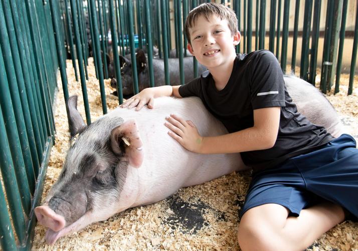 Hard work pays off for young farmers at livestock competition | Nvdaily ...