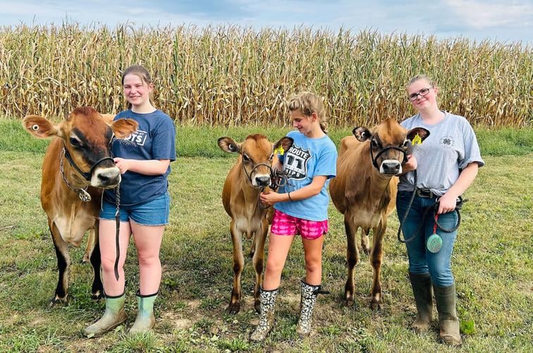 No cow? No problem. Youth borrow livestock to show at Shenandoah
