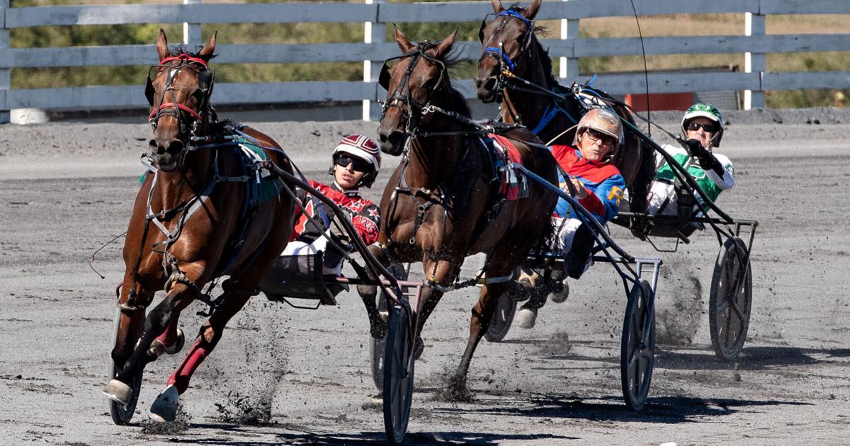 Harness Racing America Harness racing season begins Saturday in Woodstock | Nvdaily | nvdaily.com