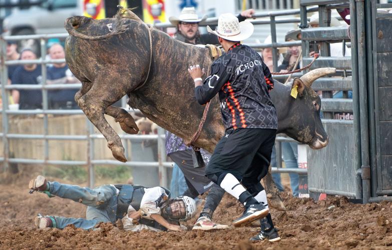 'Like no other feeling': Bull riders, barrel racers are in it for the ...