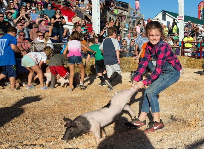Kids go hog wild at pig scramble at Shenandoah County Fair Nvdaily