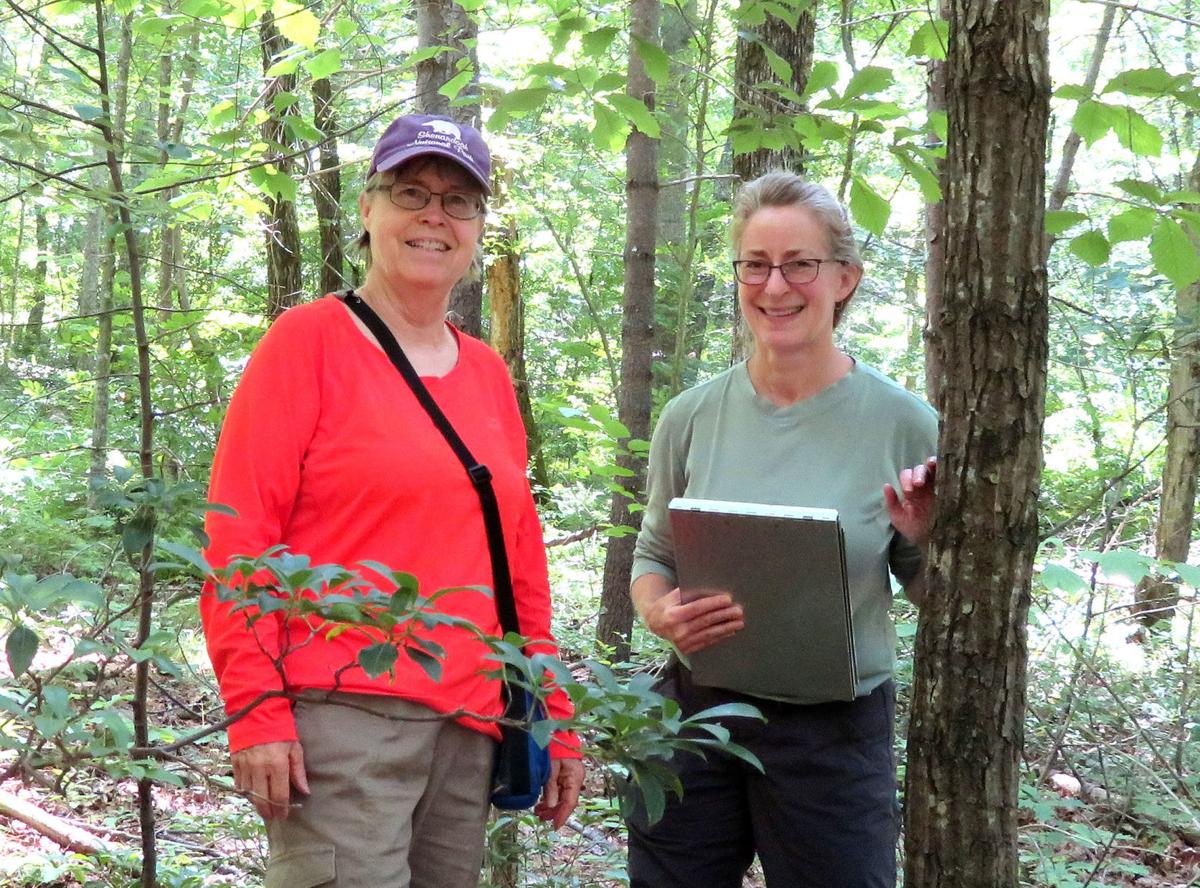 Local Citizen Scientists Find Endangered Virginia Orchid Nvdaily Nvdaily Com
