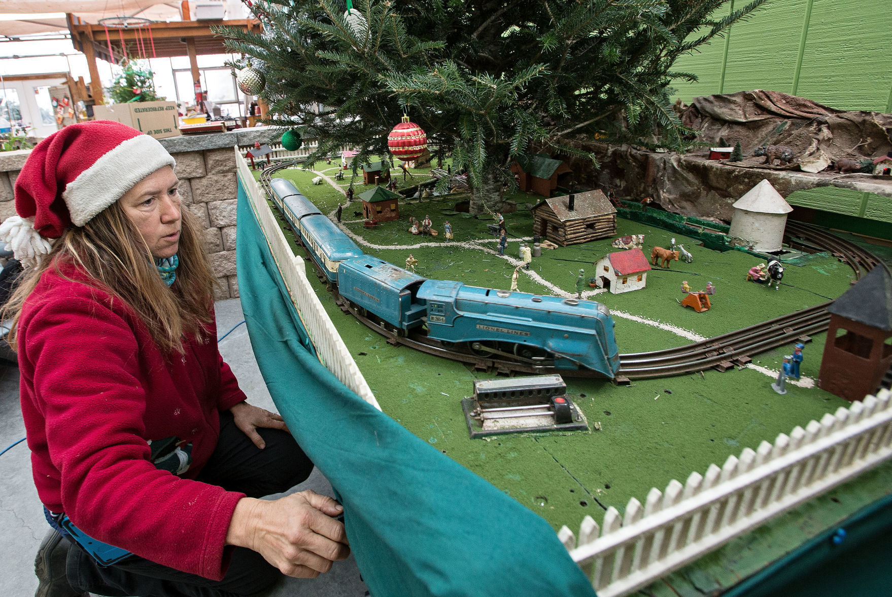 garden train set