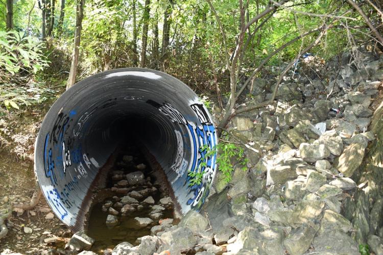 Skeletal remains found in Frederick County creek Nvdaily