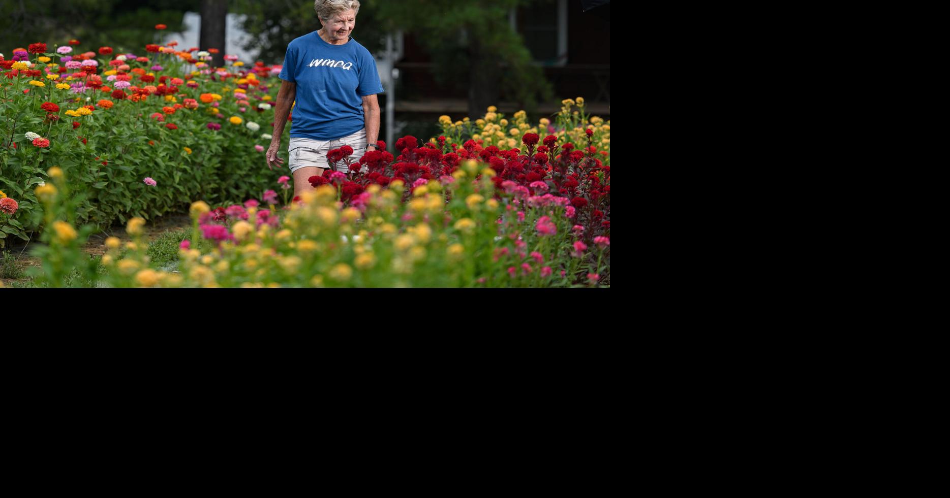Fresh blooms for five dollars at Cabin Hill Farm Flowers