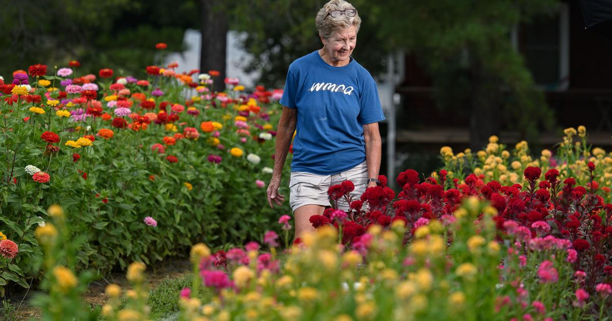 Fresh blooms for five dollars at Cabin Hill Farm Flowers