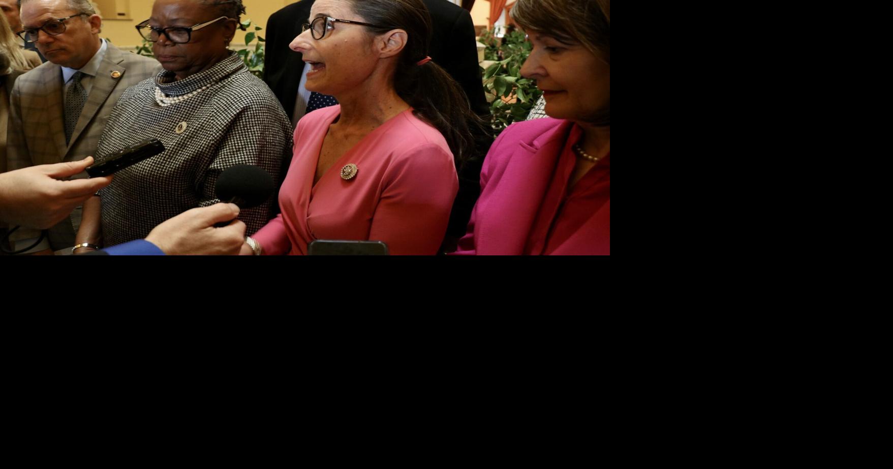 Lawmakers send reproductive rights amendment toward November vote ...