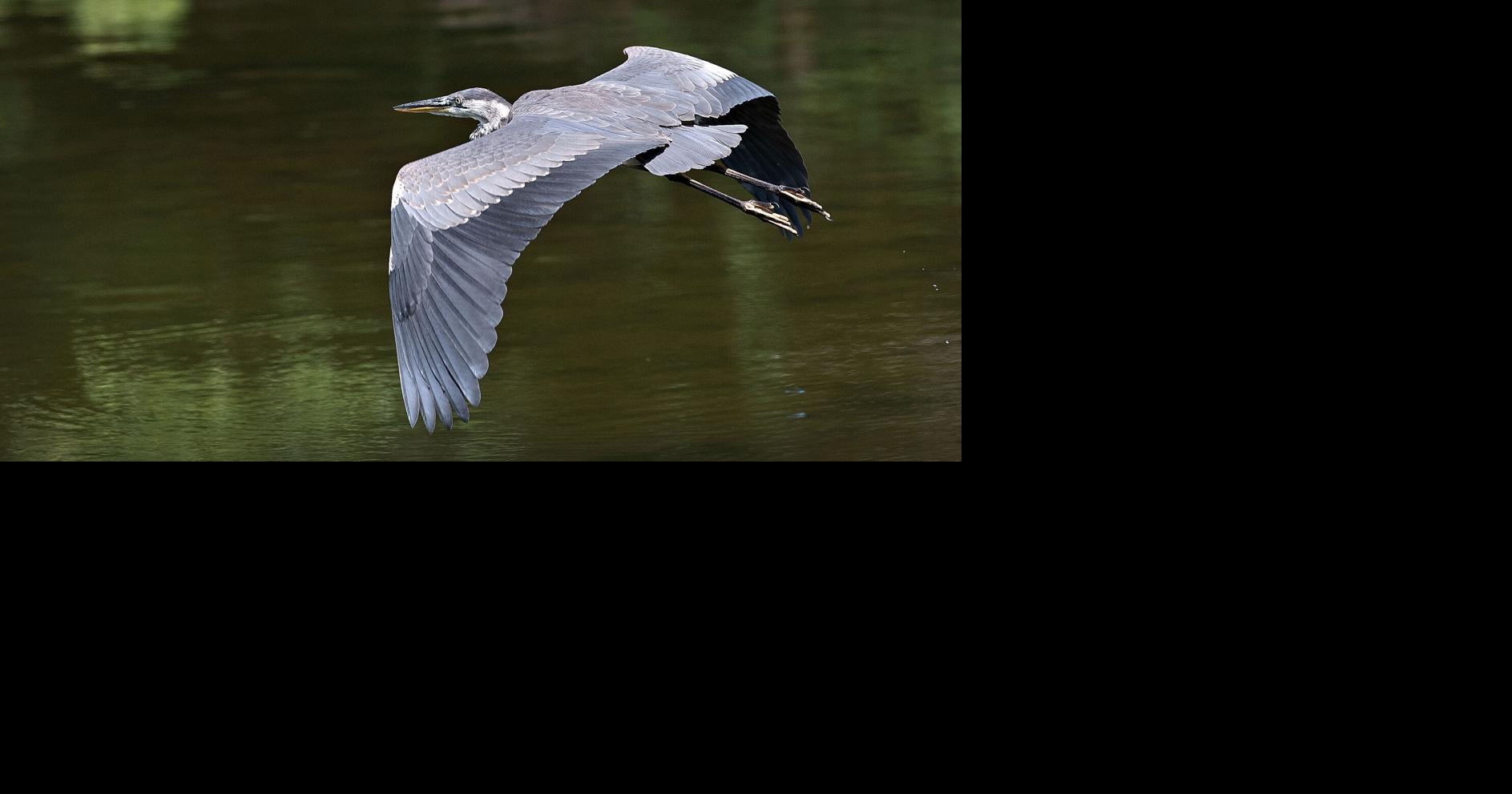 Gliding along