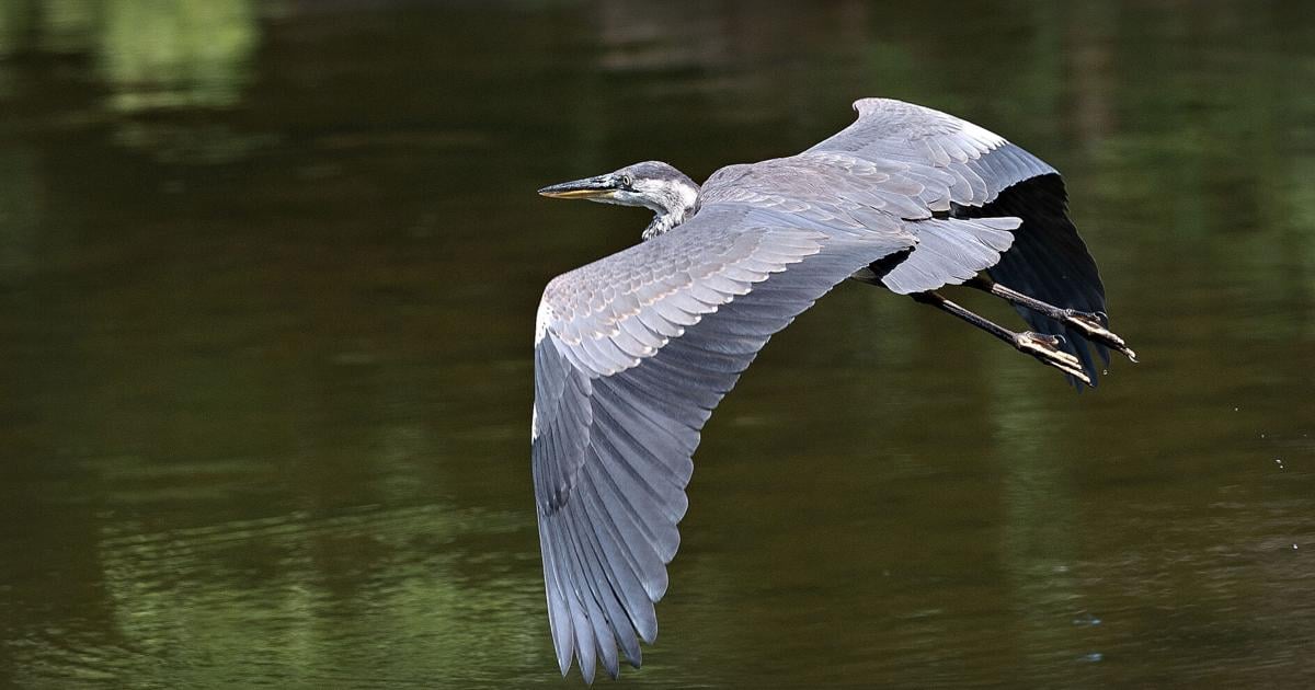 Gliding along