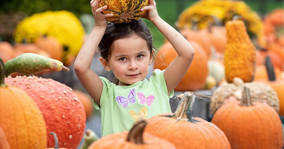 Best And Fun Things To Do In Ardmore City