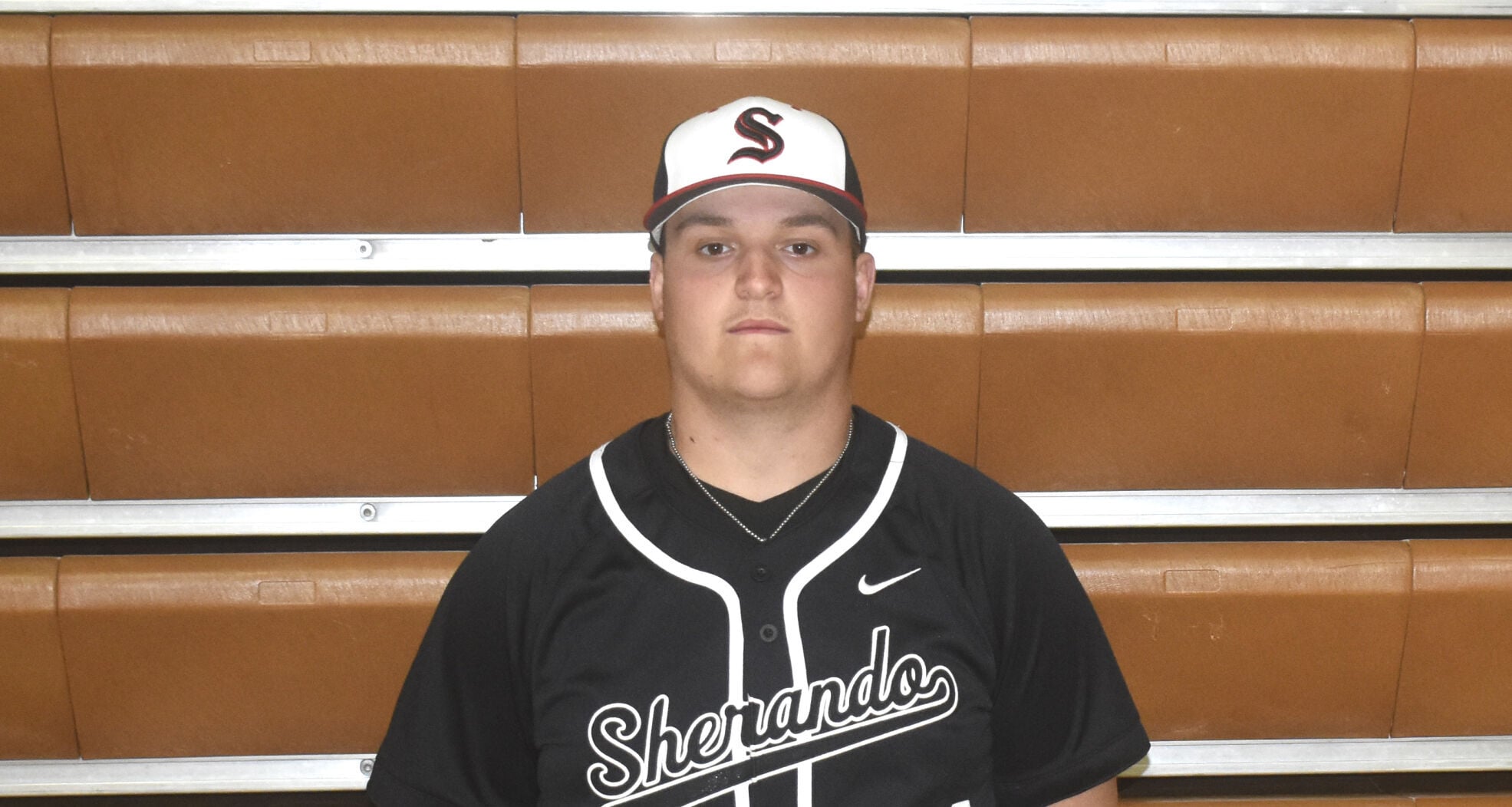 Sherandy Sherando trio earn all-region baseball honors | Nvdaily | nvdaily.com