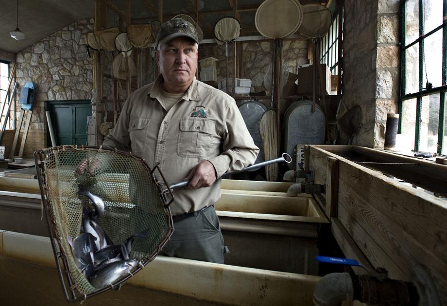 Deal could expand decadesold fish hatchery Localnews