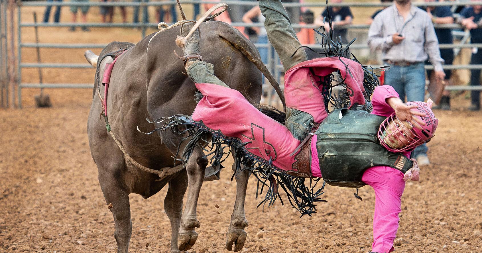 Rodeo returns to wow the crowd at Warren County Fair - Vimarsana News