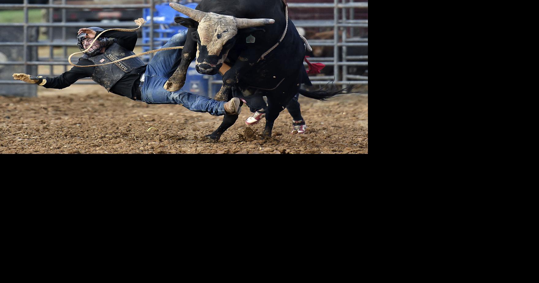 Bulls rule the rodeo