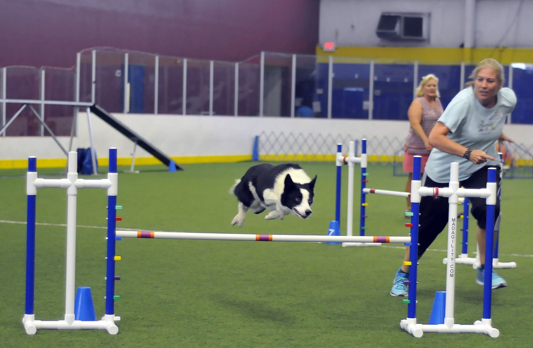 Skyline store agility club