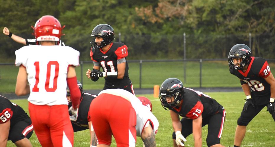 Sherandy Puller's interceptions spur Sherando to rout of Fauquier | Nvdaily ...
