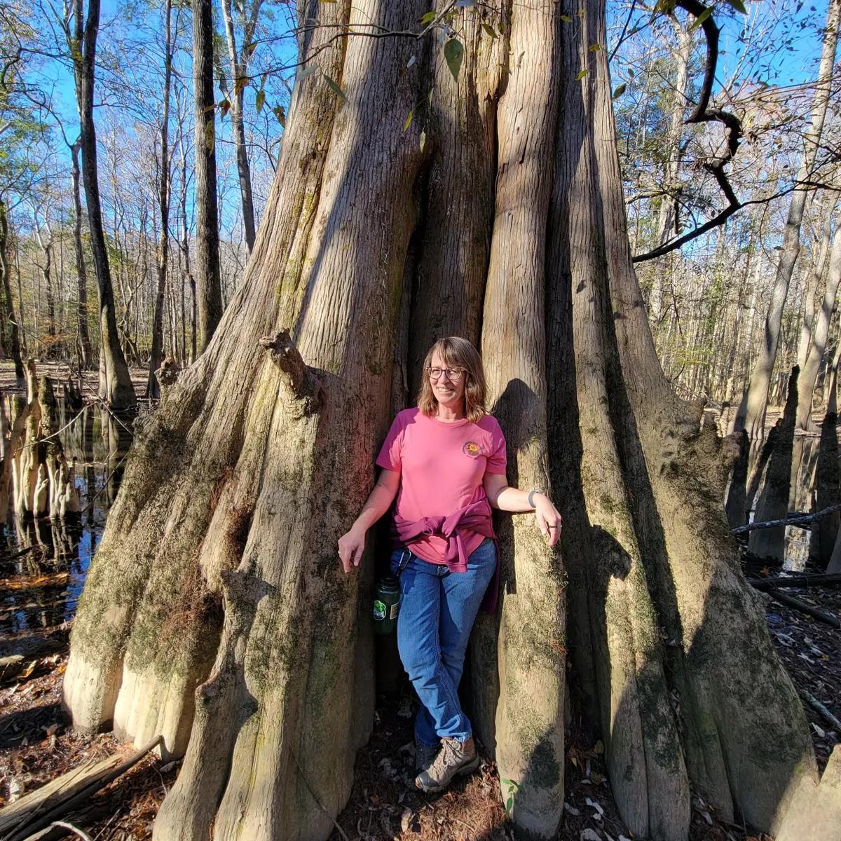 Wash away stress with a forest bath | Nvdaily | nvdaily.com