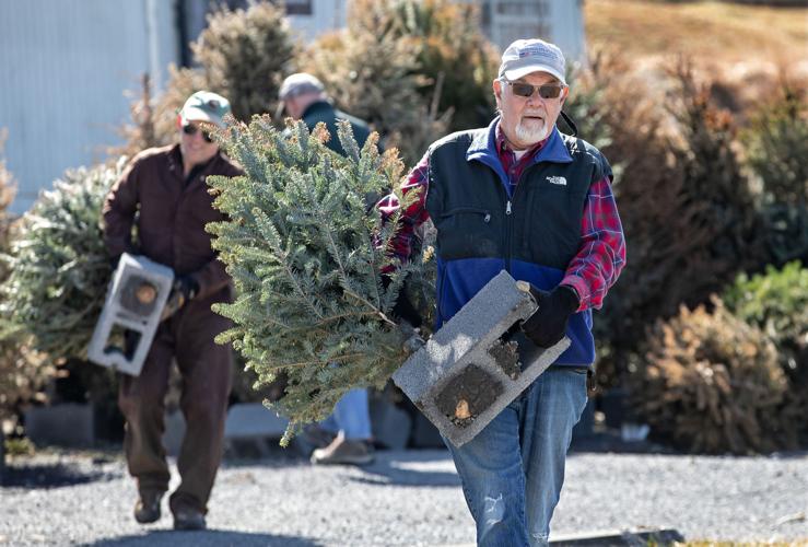 Recycling Christmas Trees at Lake Frederick Nvdaily