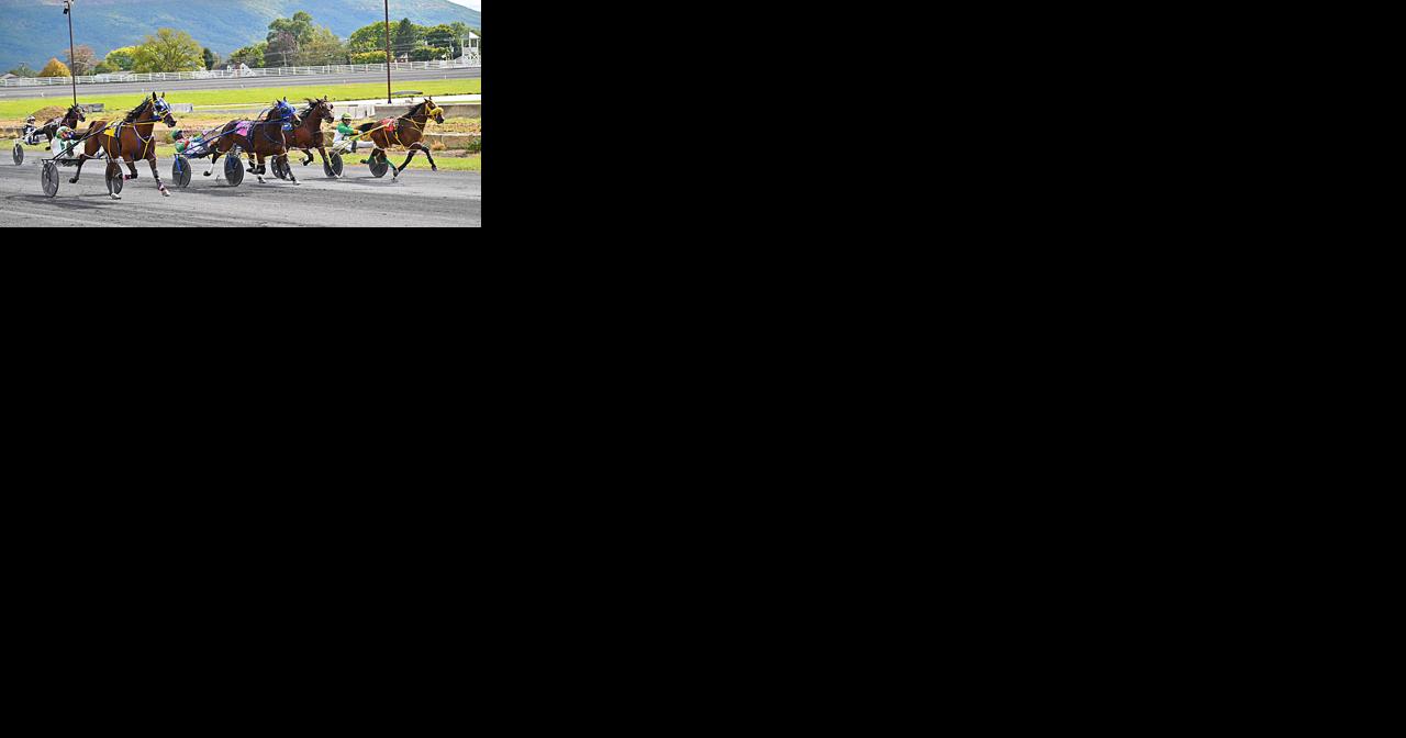Shenandoah Downs ready for second spring season of harness racing - Vimarsana News