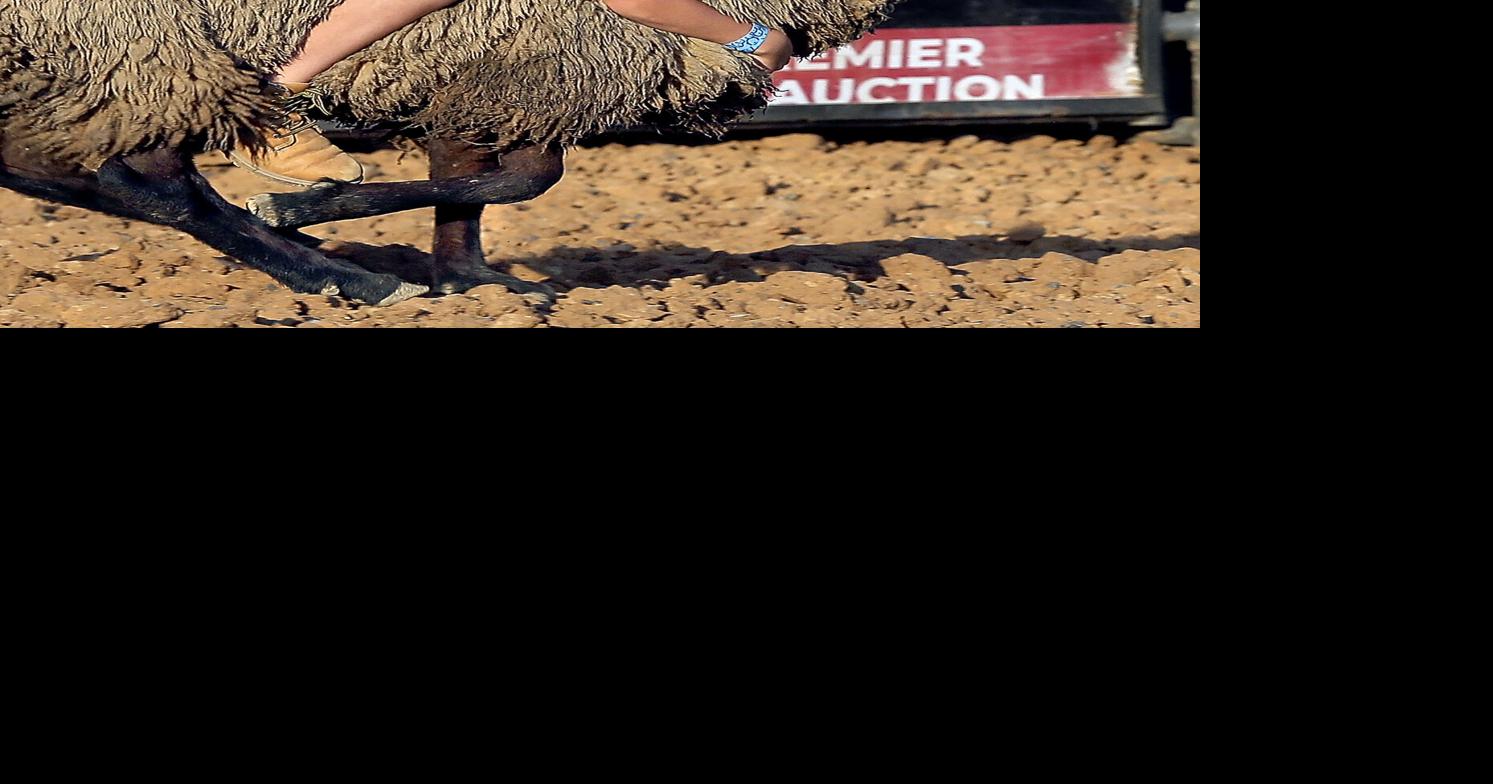 Rodeo fans take a wild ride at the Frederick County Fair | Nvdaily ...
