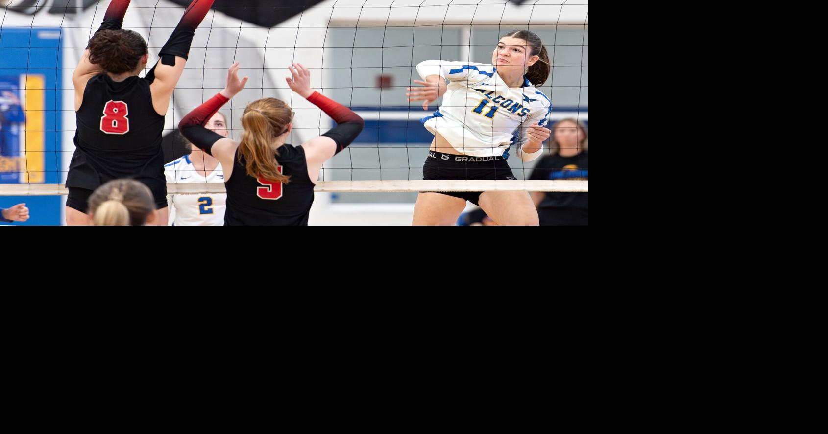 Volleyball previews: Plenty of teams show promise for the upcoming season