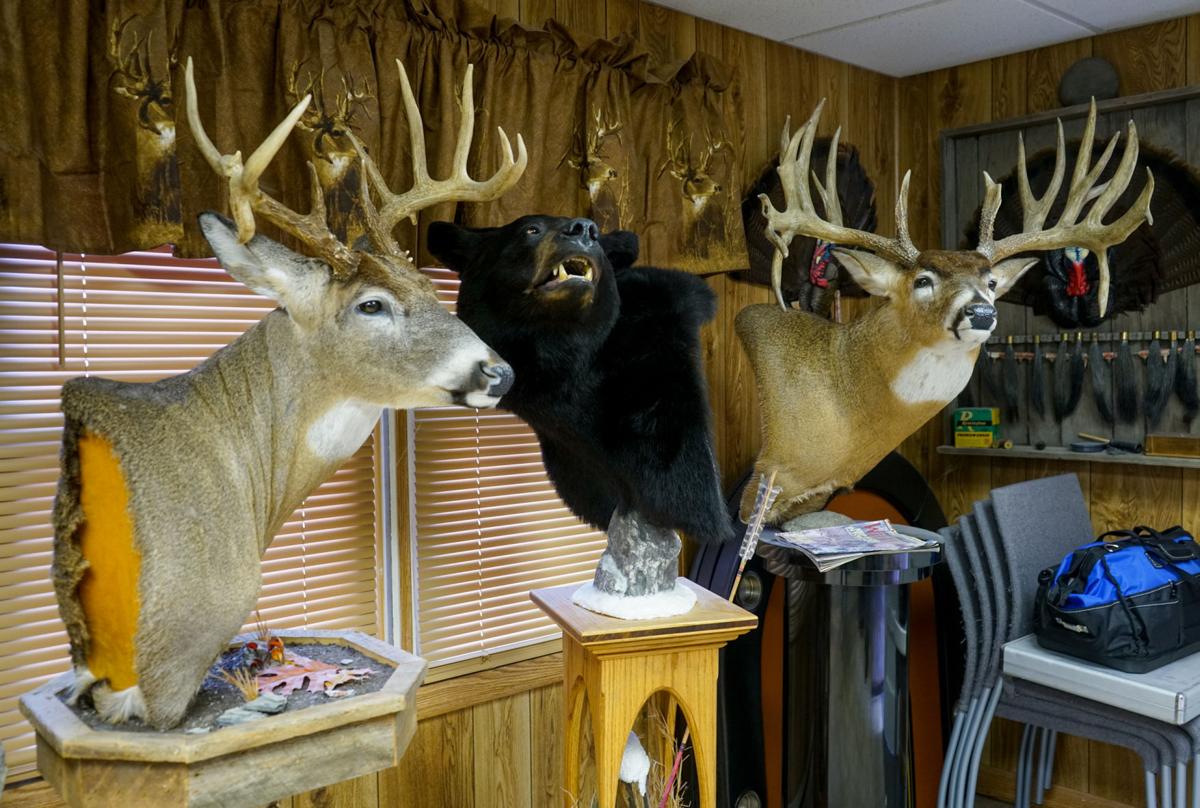 Timberville business owner brings new life with taxidermy ...