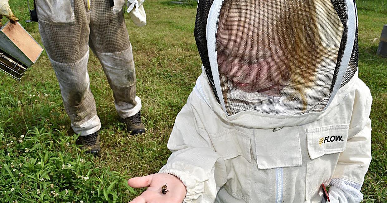 Tiny beekeeper - Vimarsana News
