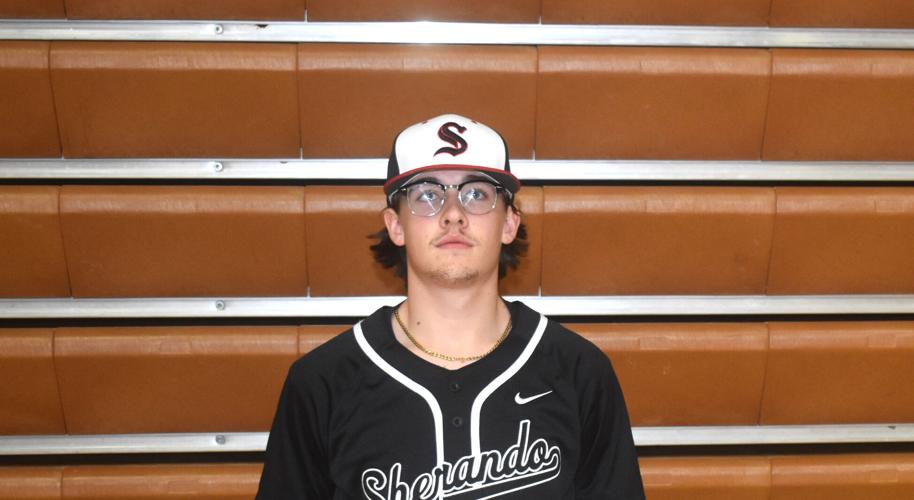 2025 Baseball All-Area Team | Nvdaily | nvdaily.com
