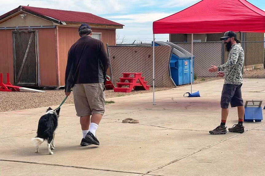 GIBOUS×GALFY SNAKE DOG DAMAGE TRAINER Leave it: Dog trainers help pets avoid venomous snakes